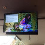 Exposição de trabalhos da Spectaculu no Royal Opera House durante evento de encerramento do Design Challenge 2015 (Créditos: Sarah Macshane - British Council - 2015)